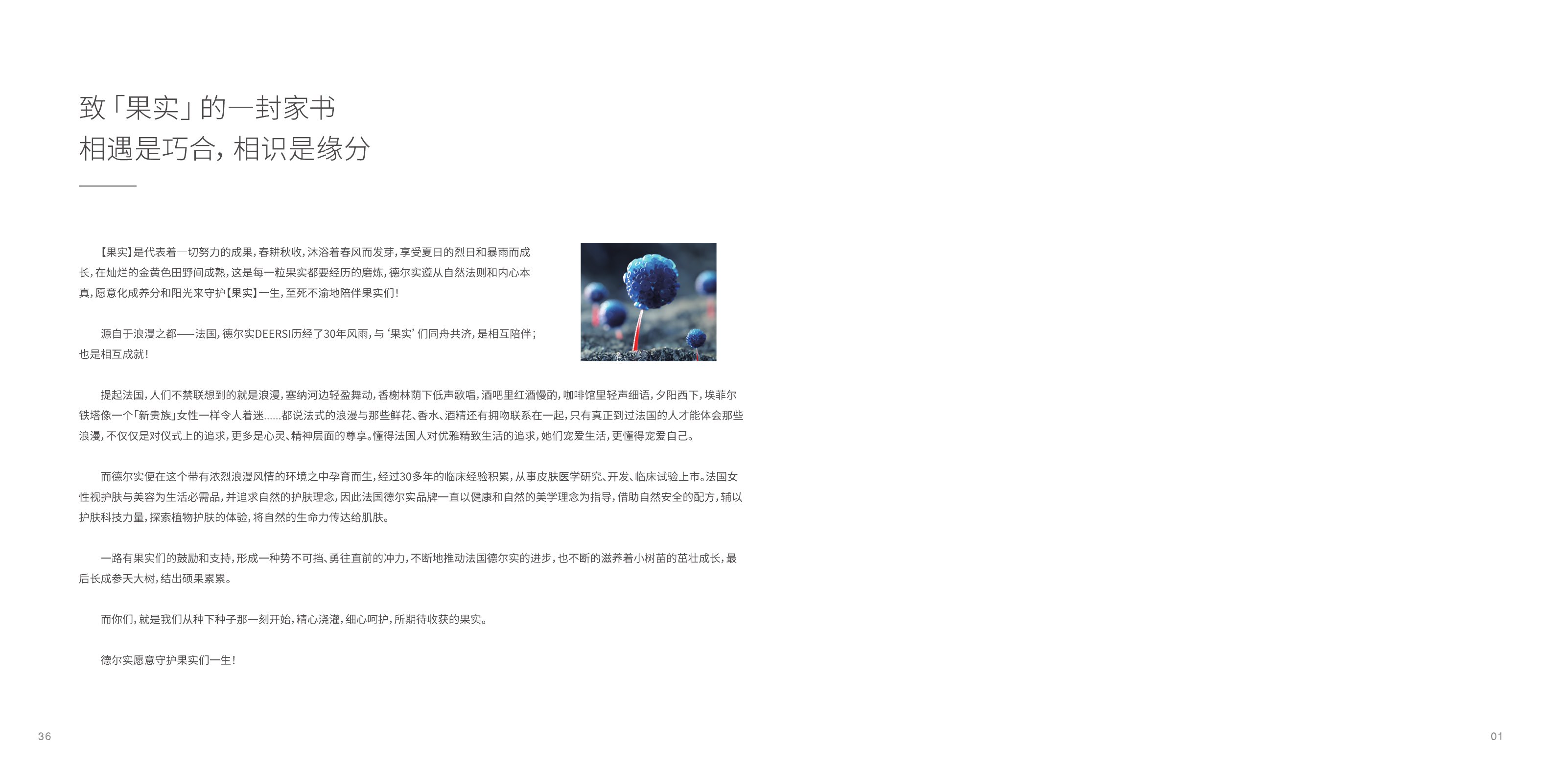 德尔实客装画册 Home Spa · 20